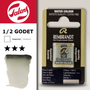 748 - Grigio di Davy Acquerello 1/2 Godet Rembrandt Aquarel Talens