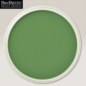 PP16 - Chromium Oxide Green Pastelli Ultra Soft Panpastel