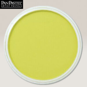 PP17 - right Yellow Green Pastelli Ultra Soft Panpastel