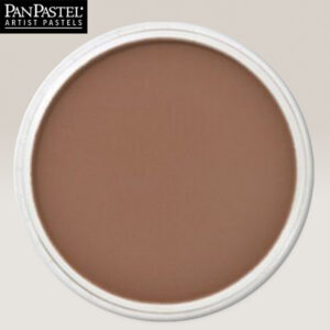 PP19 - Burnt Sienna Shade Pastelli Ultra Soft Panpastel