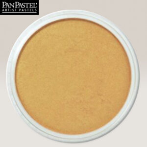 PP30 - Rich Gold Pastelli Ultra Soft Panpastel
