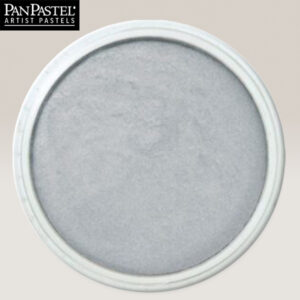 PP32 - Pewter Pastelli Ultra Soft Panpastel
