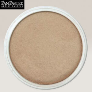 PP34 - Bronze Pastelli Ultra Soft Panpastel