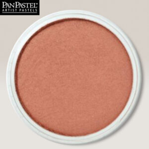 PP35 - Copper Pastelli Ultra Soft Panpastel