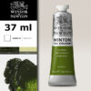W035 - 599 - Verde vescica 37 ML Olio Winton Winsor e Newton
