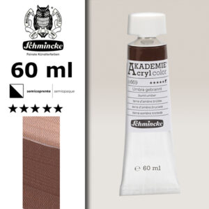 669 - Terra D'Ombra Bruciata Colore Acrilico 60 ML Akademie Schmincke