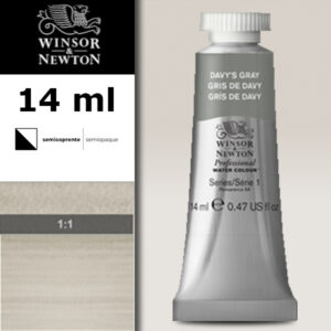 217 - Grigio di Davy 14 ML Acquerello Professional Winsor e Newton