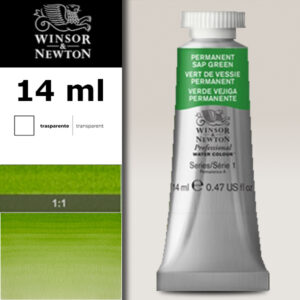 503 - Verde vescica permanente 14 ML Acquerello Professional Winsor e Newton