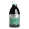 096 - Verde - 250 ML Inchiostro Nan-King Lefranc Bourgeois