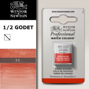 056 - Bruno di garanzia 1/2 Godet Acquerello Professional Winsor e Newton