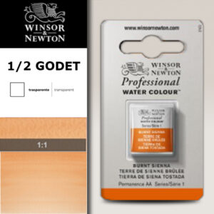 074 - Terra di Siena bruciata 1/2 Godet Acquerello Professional Winsor e Newton