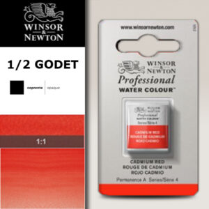 094 - Rosso di cadmio 1/2 Godet Acquerello Professional Winsor e Newton