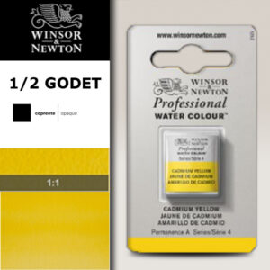 108 - Giallo di cadmio 1/2 Godet Acquerello Professional Winsor e Newton