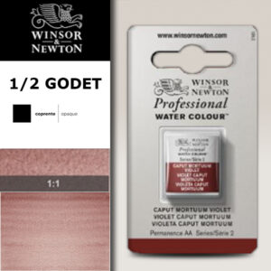 125 - Viola caput mortuum 1/2 Godet Acquerello Professional Winsor e Newton