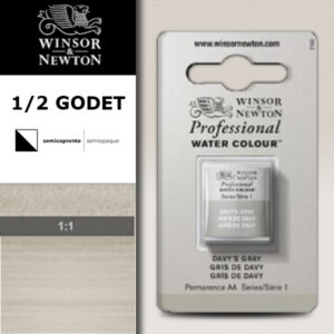 217 - Grigio di Davy 1/2 Godet Acquerello Professional Winsor e Newton