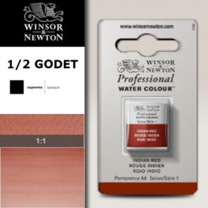 317 - Rosso indiano 1/2 Godet Acquerello Professional Winsor e Newton