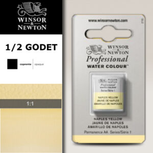 422 - Giallo di Napoli 1/2 Godet Acquerello Professional Winsor e Newton