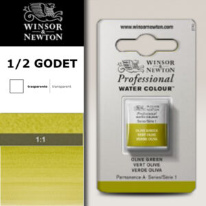 447 - Verde oliva 1/2 Godet Acquerello Professional Winsor e Newton