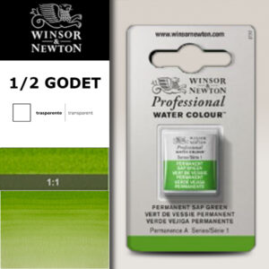 503 - Verde vescica permanente 1/2 Godet Acquerello Professional Winsor e Newton