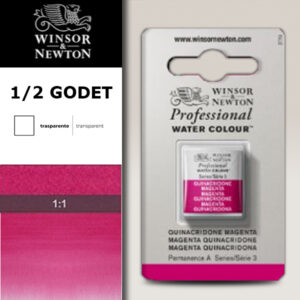 545 - Magenta quinacridone 1/2 Godet Acquerello Professional Winsor e Newton