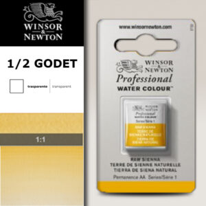 552 - Terra di Siena naturale 1/2 Godet Acquerello Professional Winsor e Newton