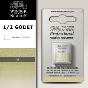 638 - Terra verde - Tonalità gialla 1/2 Godet Acquerello Professional Winsor e Newton
