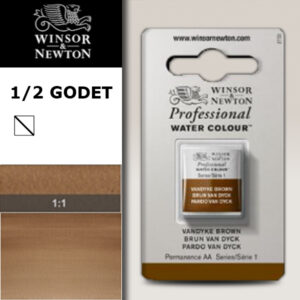 676 - Bruno Van Dyck 1/2 Godet Acquerello Professional Winsor e Newton
