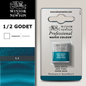 697 - Verde acqua 1/2 Godet Acquerello Professional Winsor e Newton