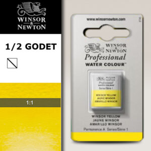 730 - Giallo Winsor 1/2 Godet Acquerello Professional Winsor e Newton