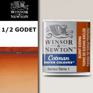 074 - Terra di Siena bruciata 1/2 Godet Acquerello Cotman Winsor e Newton