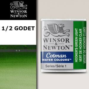314 - Verde di Hooker chiaro 1/2 Godet Acquerello Cotman Winsor e Newton