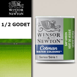 599 - Verde vescica 1/2 Godet Acquerello Cotman Winsor e Newton