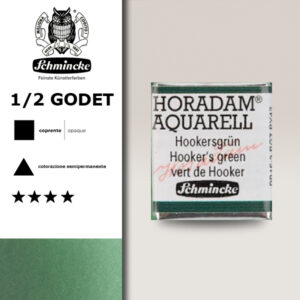 521 - verde di Hooker Acquerello 1/2 Godet Horadam Schmincke