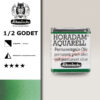 534 - verde oliva permanente Acquerello 1/2 Godet Horadam Schmincke