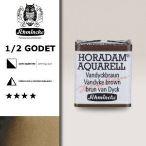 669 - bruno van Dyck Acquerello 1/2 Godet Horadam Schmincke