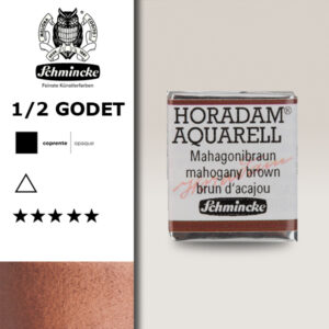 672 - bruno mogano Acquerello 1/2 Godet Horadam Schmincke