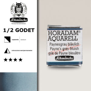 787 - grigio di Payne bluastro Acquerello 1/2 Godet Horadam Schmincke