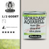 932 - Oliva Palude Acquerello 1/2 Godet Horadam Supergranulation Schmincke