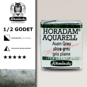 935 - Grigio Palude Acquerello 1/2 Godet Horadam Supergranulation Schmincke