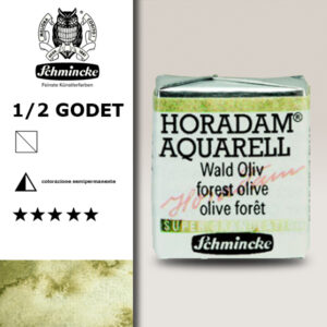 941 - Oliva Bosco Acquerello 1/2 Godet Horadam Supergranulation Schmincke