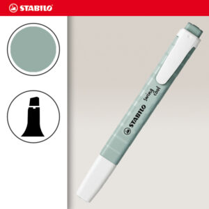 163 Foglia di Tè Evidenziatore Swing Cool Pastel Stabilo
